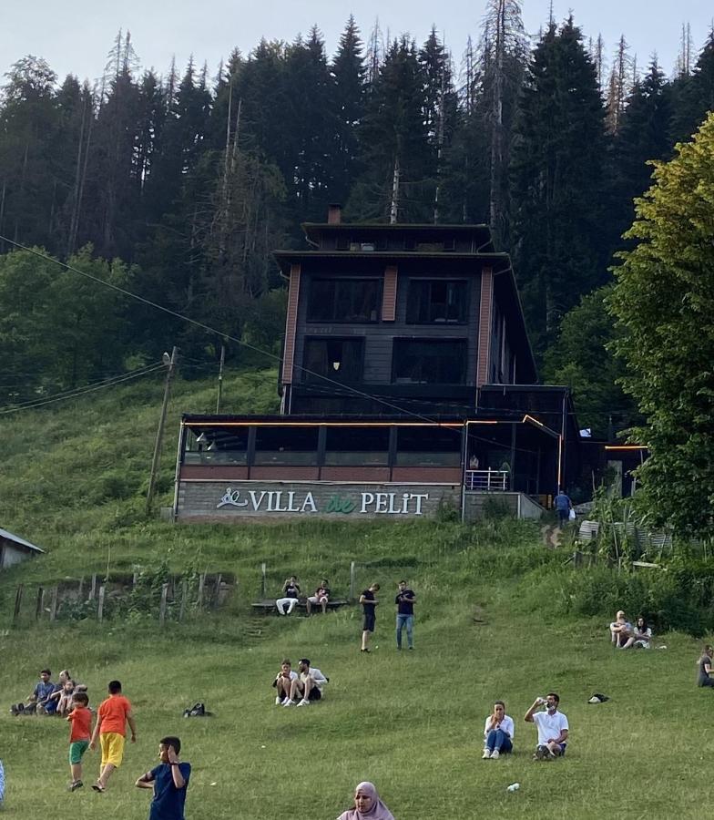 Ayder Villa de Pelit Hotel Eksteriør billede